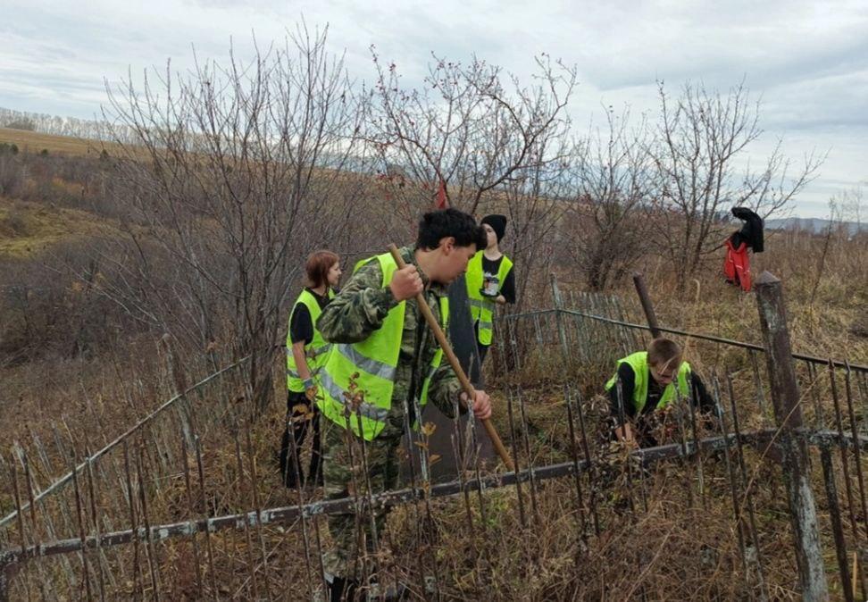 Волонтёрское движение в действии.