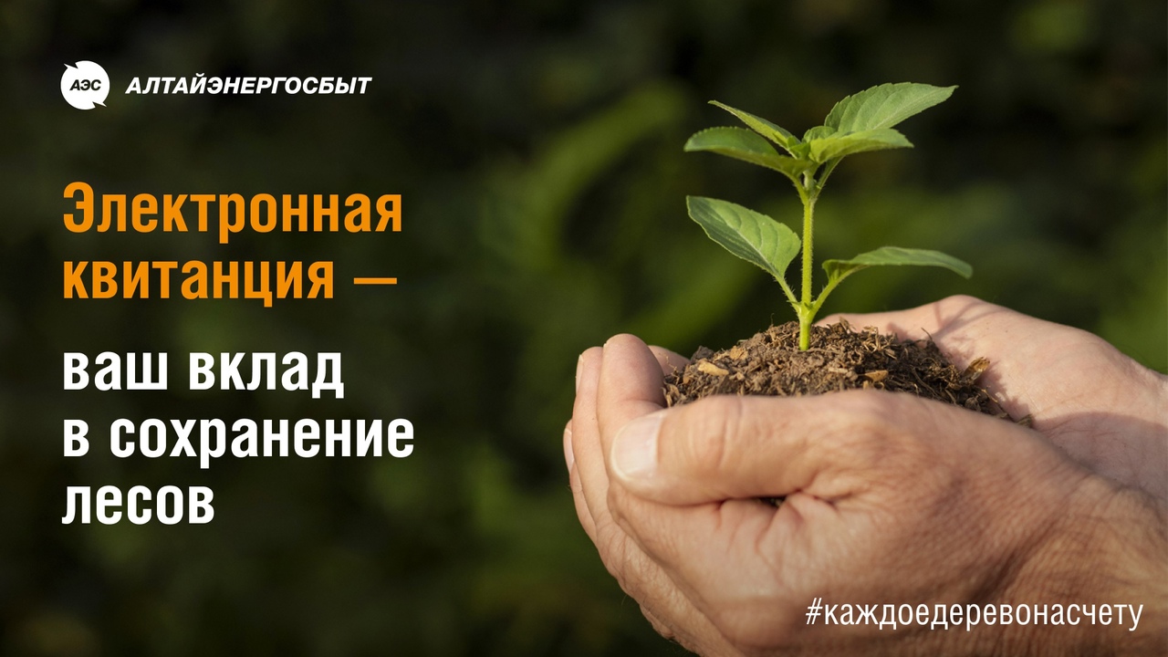 Спрос на онлайн-квитанции  «Алтайэнергосбыт» в Алтайском крае вырос в 1,7 раза.