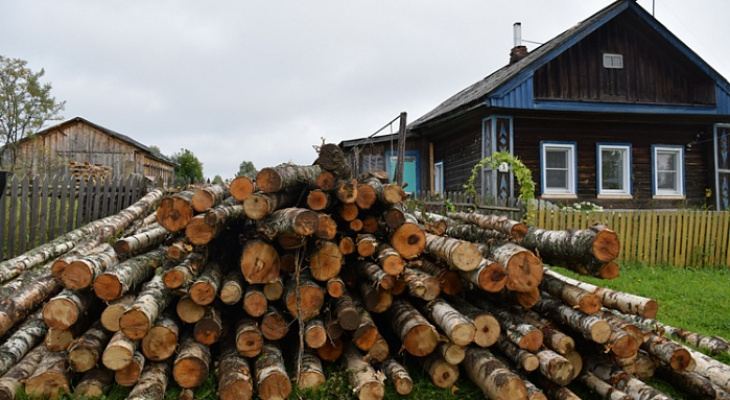 В краевое законодательство в сфере лесопользования внесены изменения.