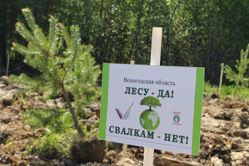 Алтайской межрайонной природоохранной прокуратурой проведена проверка исполнения законодательства об отходах производства и потребления на территории леса.