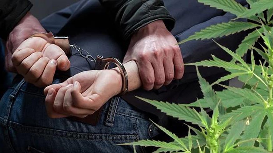 Об ответственности за незаконный ввоз на территорию страны наркотических средств и сильнодействующих веществ.