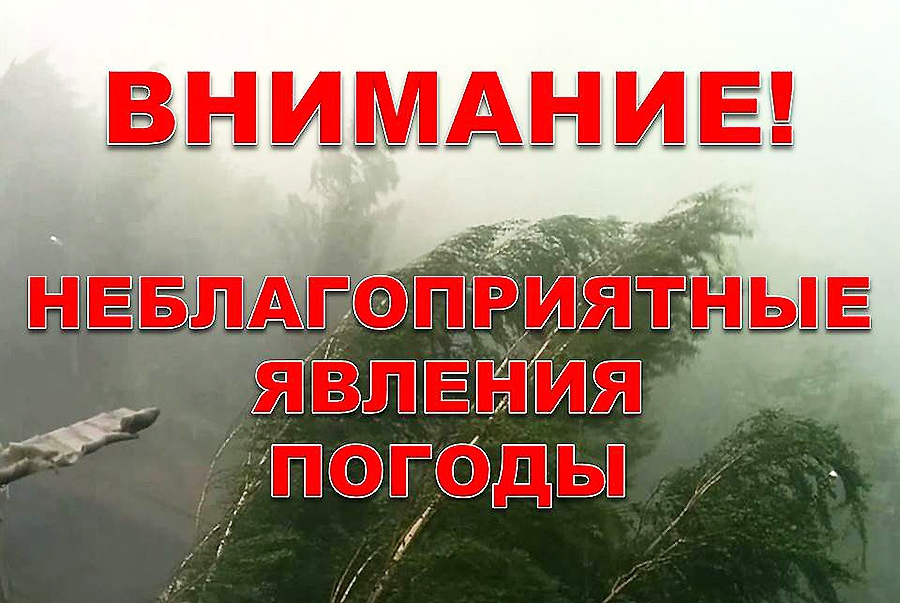 Прогноз возможных происшествий и чрезвычайных ситуаций природного и техногенного характера на территории Алтайского края с 08 по 14 сентября 2023 года.