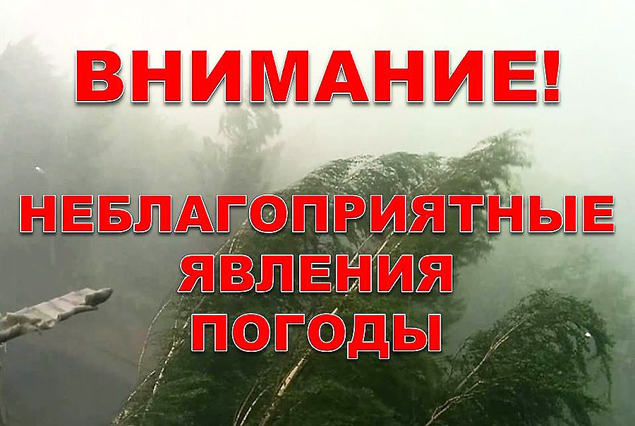 Прогноз возможных чрезвычайных ситуаций на территории Алтайского края на 25.11.2023.