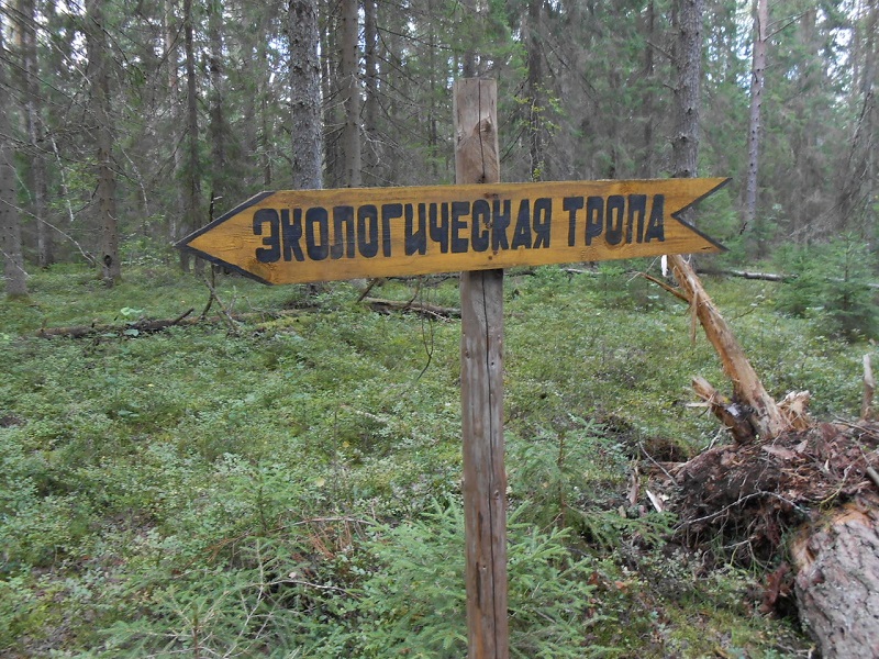 Географы Алтайского края планируют возродить  советскую экологическую тропу.