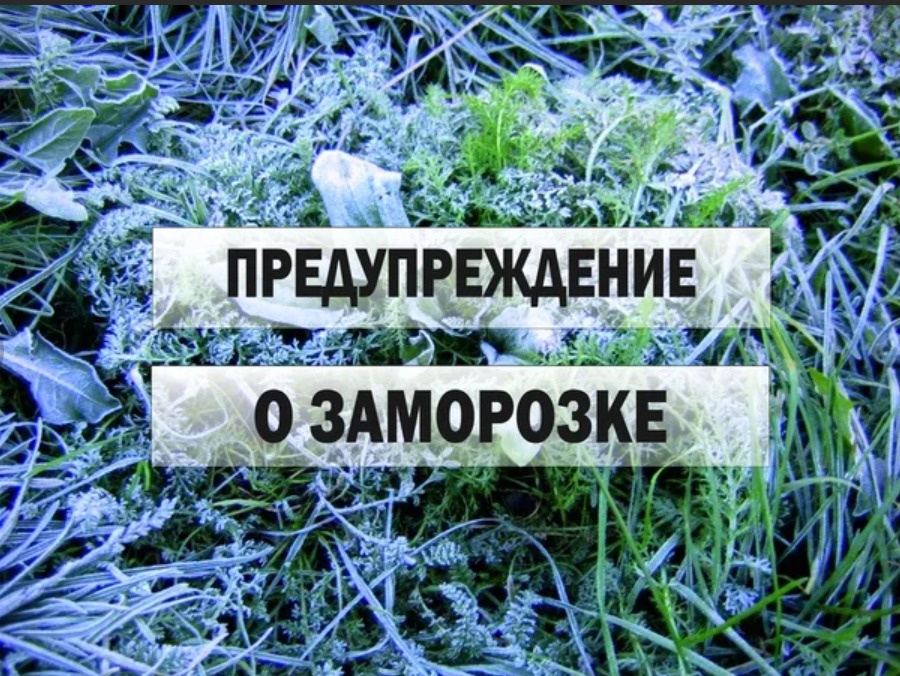 Экстренное предупреждение об угрозе чрезвычайной ситуации на 12 сентября 2024 года.