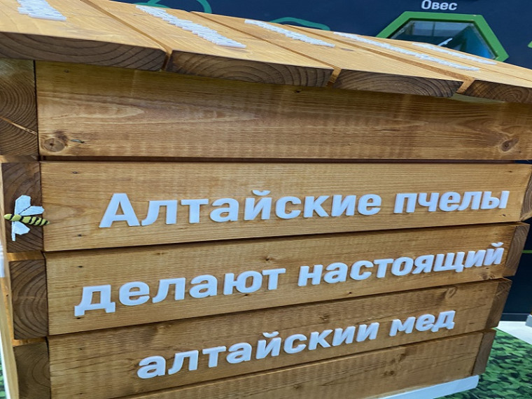 На стенде Алтайского края на международной выставке-форуме «Россия» большой популярностью пользуется фотозона с ульями.