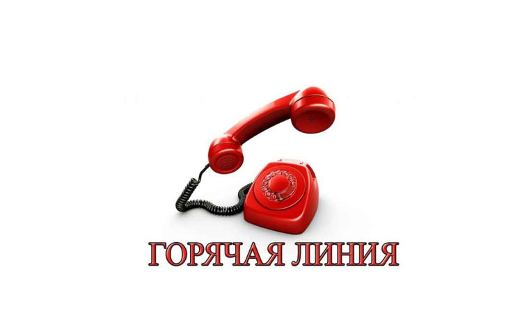 Работает "Горячая линия". Работает "Горячая линия".