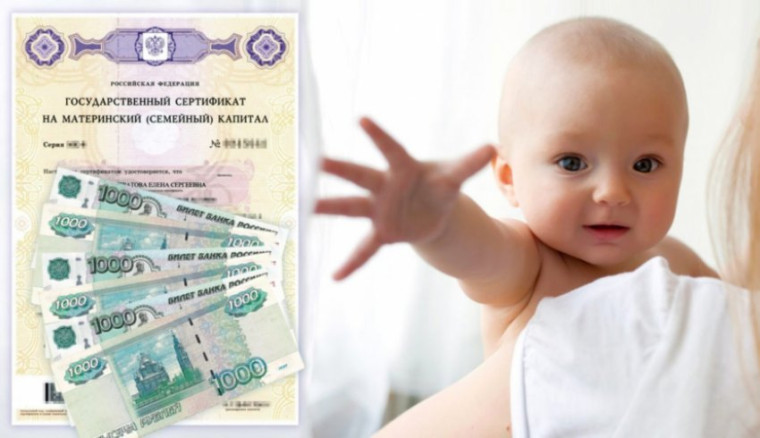 ОСФР по Алтайскому краю назначил порядка 700 ежемесячных выплат из маткапитала после вступления в силу новых правил.
