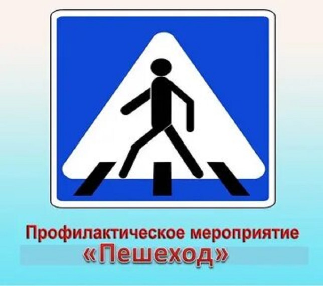 Госавтоинспекция Алтайского района информирует о проведении профилактического мероприятия «Пешеход».