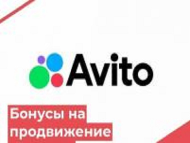 Предприниматели сферы услуг получат помощь в продвижении по программе Минэкономразвития России и Авито.